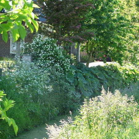 De Wylgepleats Bed & Breakfast Jutrijp Eksteriør bilde